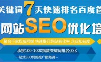 SEO网站优化推广-新站整站快速排名