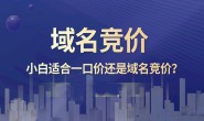 购买域名时一口价是什么意思