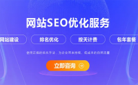 seo网站优化按天收费