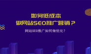 seo网站双端开发建设