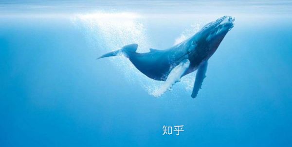 知乎