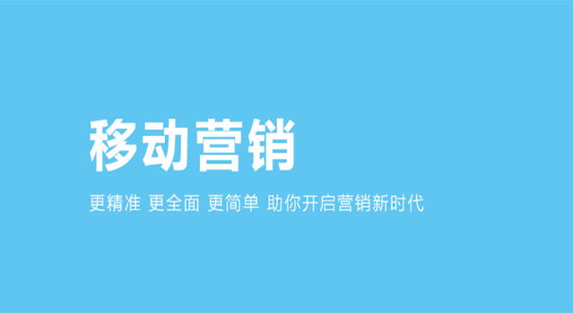 seo全网优化