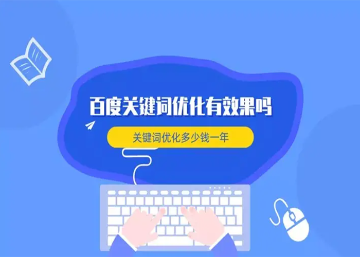 做SEO推广一年大概的费用
